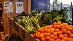 674-biocoop-marseille-la-joliette-magasin-bio-agrume-legume-fruit-chou-saison.webp
