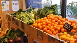 674-biocoop-marseille-la-joliette-magasin-bio-chou-orange-agrume-fruit-legume-saison-local.webp