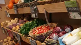 674-biocoop-marseille-la-joliette-magasin-bio-chou-radis-legume-saison.webp