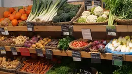 674-biocoop-marseille-la-joliette-magasin-bio-endive-chou-fruit-legume-saison-local.webp